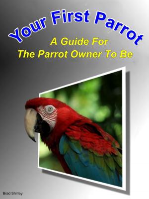 bigCover of the book Your First Parrot: A Guide For The Parrot Owner To Be by 