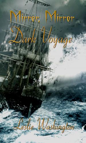 Book cover of Dark Voyage; Mirror, Mirror
