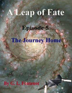 Book cover of A Leap of Fate Episode 5 The Journey Home