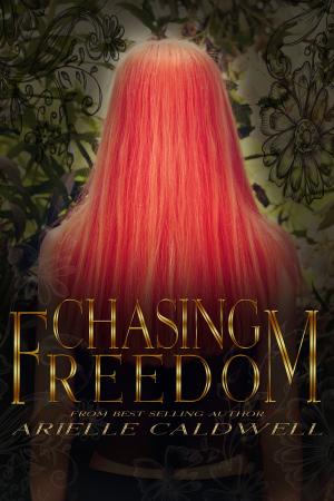 bigCover of the book Chasing Freedom by 