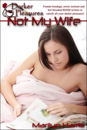 Cover of the book Not My Wife by M. St.Denys
