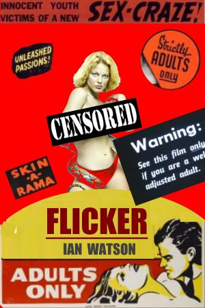 Cover of the book Flicker by Jaysen True Blood