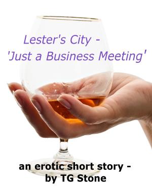 Cover of the book Lester’s City: Just A Business Meeting by KG Johansson