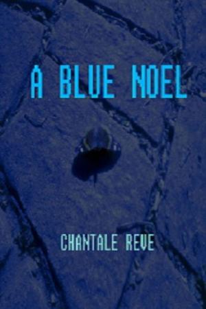 Cover of the book A Blue Noël by A. D. Cooper