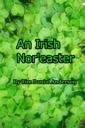 Cover of the book An Irish Nor'easter by Sasha McCallum