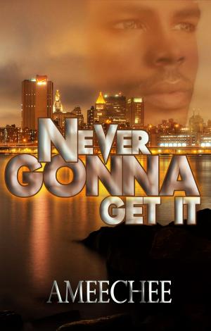 Cover of the book Never Gonna Get It by Lurea C. McFadden
