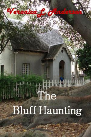 Book cover of The Bluff Haunting