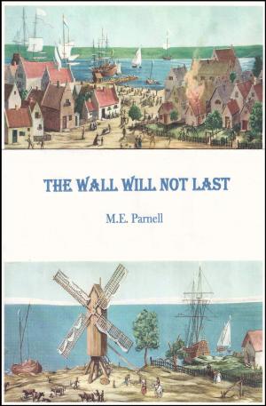 Cover of the book The Wall Will Not Last by Jaimey Grant