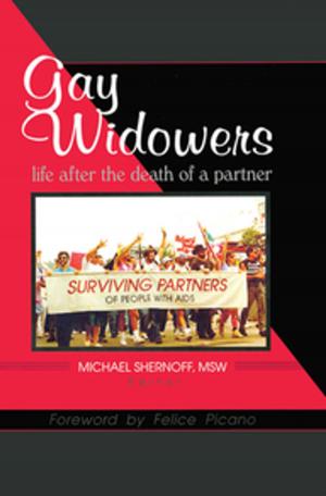 Cover of the book Gay Widowers by Kazuhiro Obayashi
