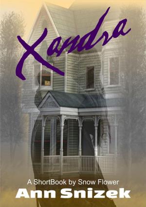 Book cover of Xandra: A ShortBook by Snow Flower
