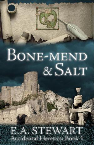 Cover of the book Bone-Mend and Salt by H.M. Van Fleet