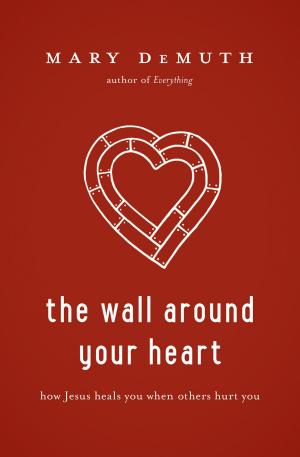 Cover of the book The Wall Around Your Heart by C. Rae Johnson