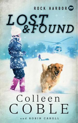 Cover of the book Rock Harbor Search and Rescue: Lost and Found by Star Parker