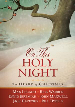 Cover of the book On This Holy Night by Jane Stern, Michael Stern