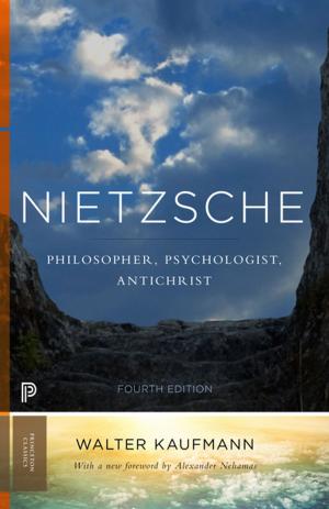 Cover of the book Nietzsche by John Burnside