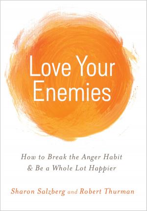 Cover of the book Love Your Enemies by Doris Lee McCoy, Ph.D