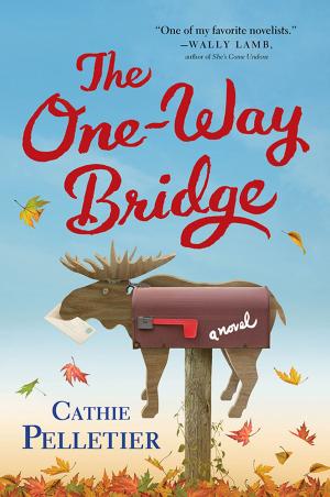 Book cover of The One-Way Bridge