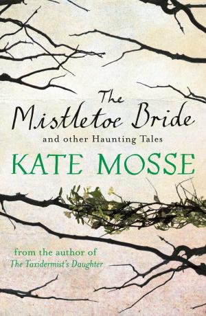 Cover of the book The Mistletoe Bride and Other Haunting Tales by Lilian Harry