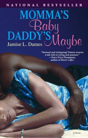 Cover of the book Momma's Baby, Daddy's Maybe by Vaddey Ratner