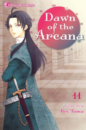 bigCover of the book Dawn of the Arcana, Vol. 11 by 