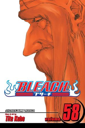Cover of the book Bleach, Vol. 58 by Nobuhiro Watsuki