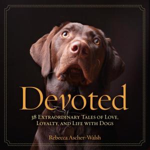 Cover of the book Devoted by Jennifer Szymanski