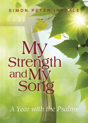 Cover of the book My Strength and My Song by Melody Carlson