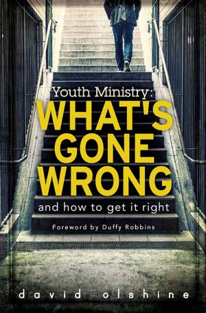 Book cover of Youth Ministry