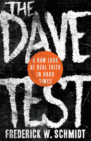 Cover of the book The Dave Test by Brad E. Kelle