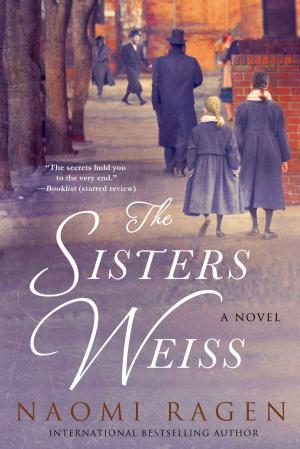 Cover of the book The Sisters Weiss by James Holland