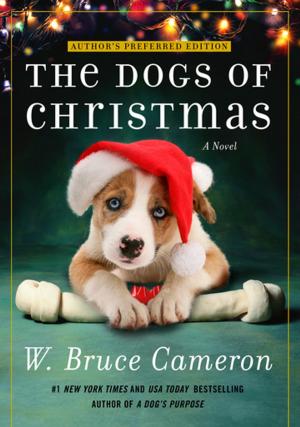 Cover of the book The Dogs of Christmas by Drew Williams