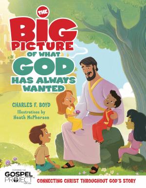 Cover of the book The Big Picture of What God Always Wanted by Alex Kendrick, Stephen Kendrick