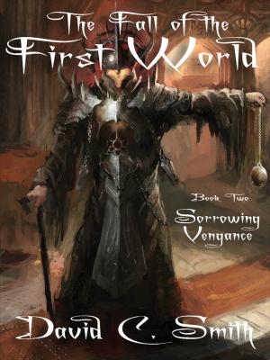 Cover of the book Sorrowing Vengeance by S.G. Woods