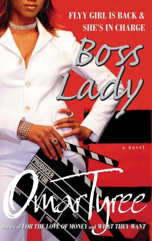 Cover of the book Boss Lady by Barbara Forte Abate