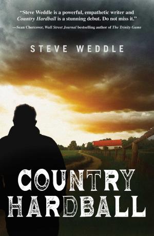 Cover of the book Country Hardball by Lisa Renee Jones