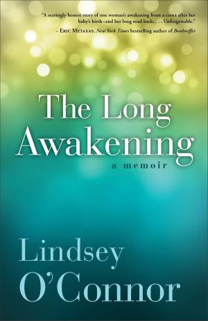 Cover of the book The Long Awakening by Catherine M. Barsotti, Robert K. Johnston