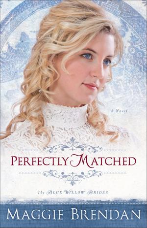 Cover of the book Perfectly Matched (The Blue Willow Brides Book #3) by Susan J. R.N., Ed.D Zonnebelt-Smeenge, Robert C. De Vries