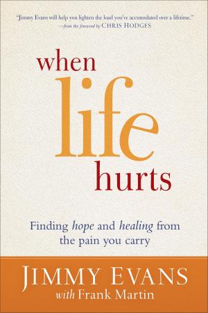 Cover of the book When Life Hurts by Amanda Dykes