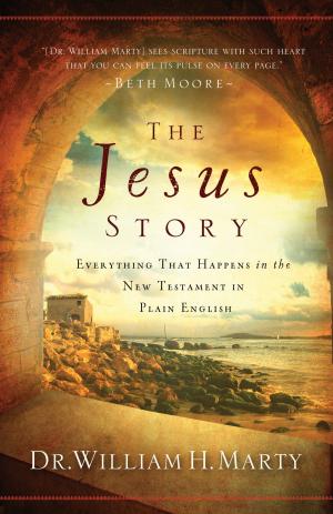 Book cover of The Jesus Story