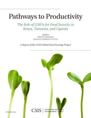 Cover of the book Pathways to Productivity by Mark F. Cancian