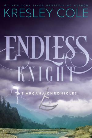 Cover of the book Endless Knight by Kenneth Oppel