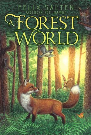 Cover of the book A Forest World by Frans Vischer
