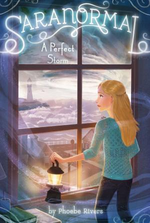 Cover of the book A Perfect Storm by Laurie Calkhoven