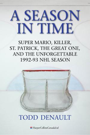 Cover of the book A Season In Time by Nancy Carson