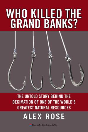 Book cover of Who Killed The Grand Banks?