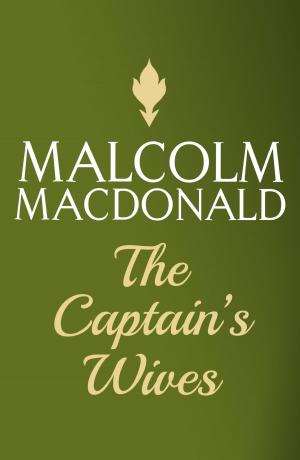 Cover of the book The Captain's Wives by Ruth Snowden