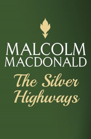 bigCover of the book The Silver Highways by 