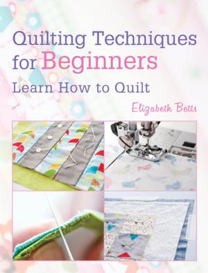 Cover of the book Quilting Techniques for Beginners by Allen G Berman