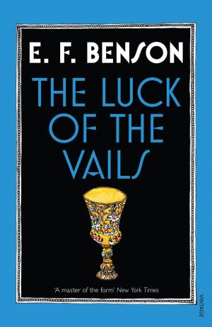 Cover of the book The Luck of the Vails by Jan J.B. Kuipers