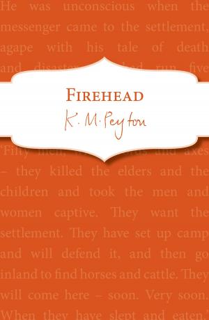 Cover of the book Firehead by Liz Rettig